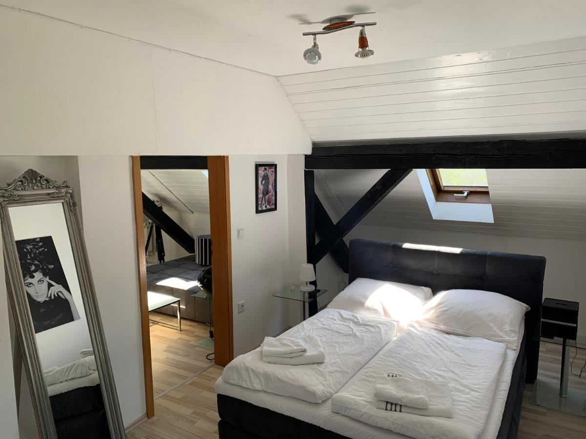 Apartment Direkt An Der Waldnaab Neustadt an der Waldnaab Luaran gambar